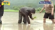 美郷町で幻の日本酒「いすゞ美人」原料米の田植え　去年の醸造見送りを経て再スタート