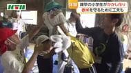 赤米を守る！諫早市の子供たちがかかし作り体験