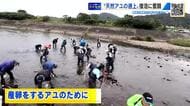 清流の女王・天然アユの復活に奮闘 産卵場の整備に取り組む漁協 太田川のアユ釣りのにぎわいを再び 広島