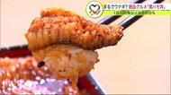 まるでウナギ？「黒ハモ丼」　市場に出回らない未利用魚の生かし方【北海道発】