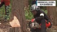 林業技術の向上を目指し伐倒の腕を競う　安全管理や正確性など審査は約100項目