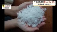 宮城県内で局地的に雷雨や「ひょう」が降る　大気の状態が不安定となり天気が急変