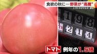 愛媛の野菜が高い！トマト１個が２００円以上に！残暑続きでスーパーの野菜高値が続き秋の家計を圧迫【愛媛発】