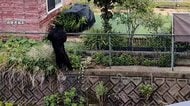 宇都宮市の小中学校が再開　クマ捕獲後、1日以上目撃情報なし　児童からは「まだ子グマがいるかもと聞いて怖い」の声も
