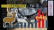 【10月は特にキケン！】繁殖期に入るシカとの衝突事故が急増―巨大なエゾシカとぶつかれば車体は大破し重大事故につながるリスクも…道路に残る”ブレーキ痕”を見つけた場合はシカが出没する可能性が＜北海道＞