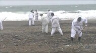 骨のような物が見つかった海岸で 震災月命日の捜索活動を前倒しで さらに手がかりを見つけるため