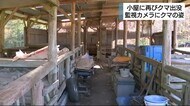ニワトリ小屋に再びクマ出没 ワナには近づかず 静岡・富士宮市