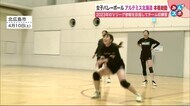 北海道初のバレーボール女子Vリーグへの道 アルテミス北海道が初練習