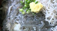 「新鮮でおいしかった」田子の浦港に生シラス丼求めて…シラス漁初日の水揚げ量はわずか