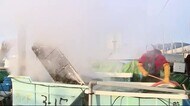 養殖ワカメボイル作業始まる 気仙沼市 階上地区〈宮城〉