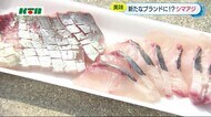 幻のかんきつ類「ゆうこう」を使い…「臭みもまったくない」長崎市戸石地区の養殖シマアジが好評!