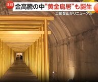 「金のパワーもらえそう」50本ズラリ「黄金鳥居」が話題…伊豆・土肥金山がリニューアル　重さ250kg巨大金塊は展示終了そのワケは“金高騰”