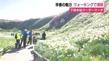下田の早春の魅力を満喫　ウォーキングイベント「下田水仙ツーデーマーチ」　３７０人が参加して盛り上がる　静岡
