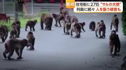 住宅街に27匹以上のサルの群れ出没　島根から鳥取へ移動か　各地で目撃相次ぐ　専門家「背中を見せずゆっくり離れて」