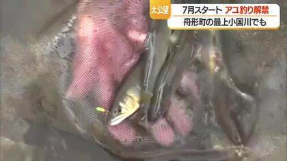 待ちに待った「アユ釣り」解禁　初日から多くの釣り人繰り出す　山形・舟形町