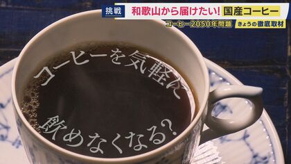 「コーヒー2050年問題」で気軽にコーヒーが楽しめなくなる？　豆の価格高騰、気候変動による栽培地域の消失　中国では空前のコーヒーブーム　コーヒー豆を使わない“代替コーヒー”も登場