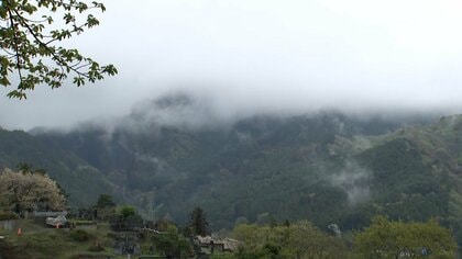 発生7日目　大槌町の山火事「おおむね制御下」　焼失面積は小鎚地区と吉里吉里地区周辺で計1633ha　岩手