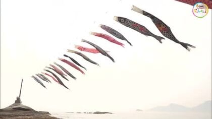 瀬戸内海の上を泳ぐ３０匹のこいのぼり…小豆島・戸形崎にお目見え　フェリーからも楽しめます【香川】