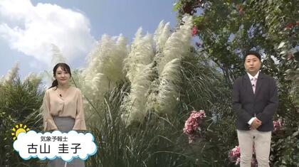 少しだけ秋の気配…ただこの先も平年より暑くなりそう　温暖化を防ぐためにできることを気象予報士が実践してきた