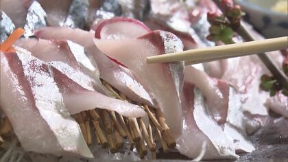 不漁で値上げラッシュも…完全養殖の「唐津Qサバ」で打ち勝つ　ぽっちゃり型で脂ノリノリ【福岡発】