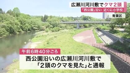 西公園沿いの広瀬川河川敷で親子とみられるクマ２頭を目撃　近くの小学校が登校見守り呼びかけ〈仙台〉