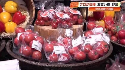 レタスにトマト、ブロッコリーは…？物価高騰の中でもお手頃価格な野菜を一挙に紹介【高知】