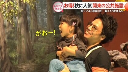 誰でもお得に！秋に行きたい関東の公共施設【しらべてみたら】