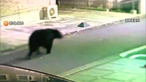 体長1.5m重さ125kgオスのクマ　麻酔銃2発で眠らせ駆除　住宅街マンション茂みにとどまり危険と判断　仙台市