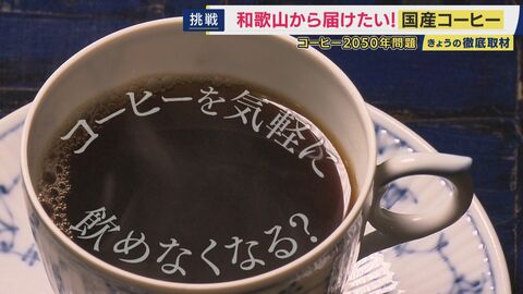 「コーヒー2050年問題」で気軽にコーヒーが楽しめなくなる？　豆の価格高騰、気候変動による栽培地域の消失　中国では空前のコーヒーブーム　コーヒー豆を使わない“代替コーヒー”も登場