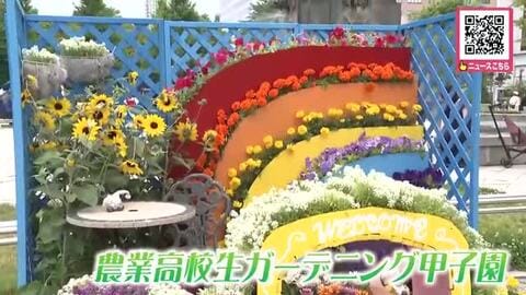 「それぞれ色々な良さがあってすごくキレイ！」初夏の札幌・大通公園を花で彩る『花フェスタ』開幕―“農業高校生ガーデニング甲子園”この日にあわせて育てた花々を飾りつけ訪れた人を魅了_北海道