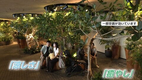浴衣・かき氷・空中庭園　涼しさと癒やし…都心のひんやり“涼スポット”