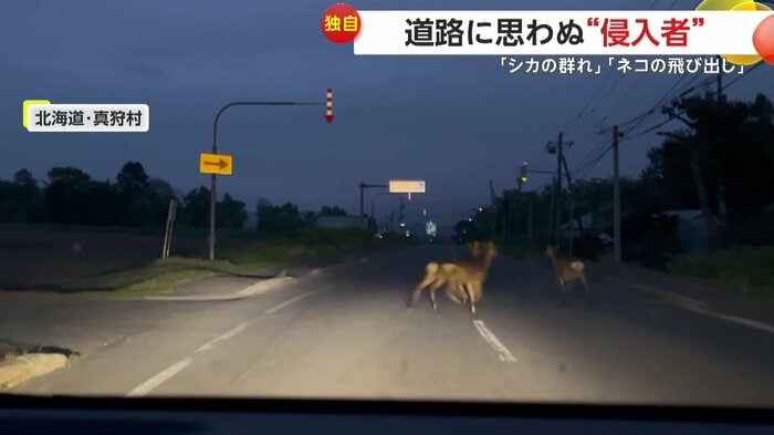 右に行くのかと思いきや…