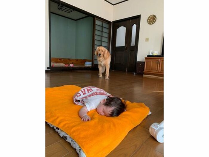 提供:ゴールデン ハヌルさん