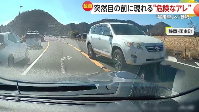 目の前に迫った逆走車(視聴者提供)
