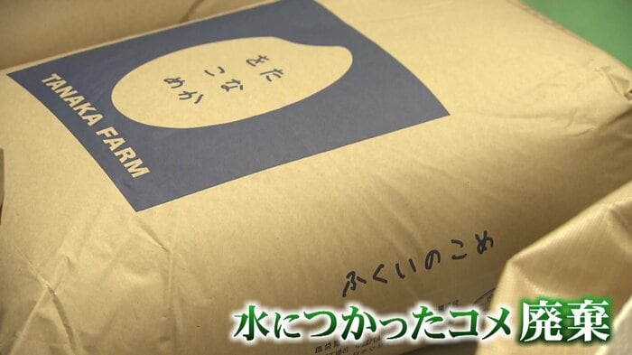 水に浸かったコメはすべて廃棄に