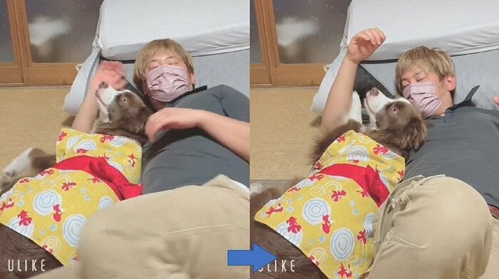もう一回寝返りをうとうとすると…テールちゃんが阻止!