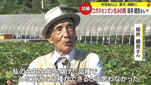 コガネセンガンを生み出した坂井健吉さん