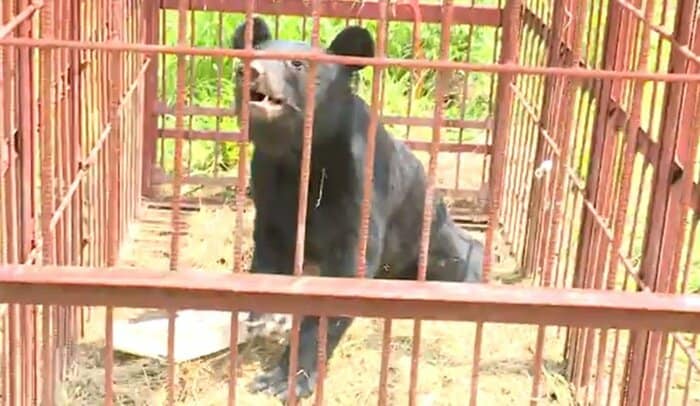 関係者によって迅速で冷静な対処が行われた