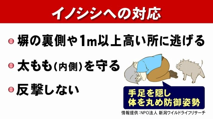 ニュースONE