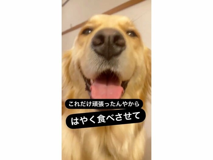 提供:エマさん