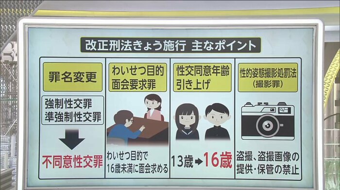 7月13日に施行された改正刑法の主なポイント