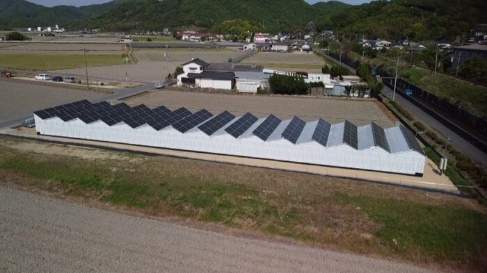180枚の太陽光パネル