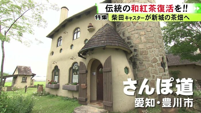 ニュースONE