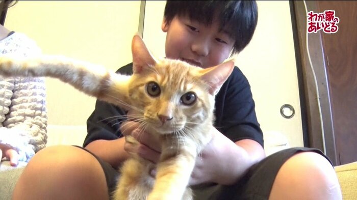 蒼助さんと帆立