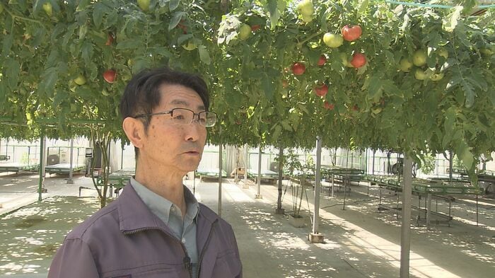 信州トマト工房・唐沢金実さん