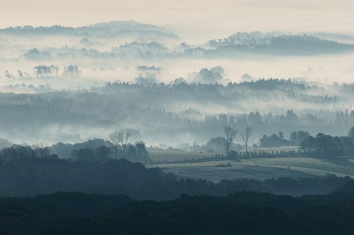 霧の立ち込める蒜山高原　大山隠岐国立公園