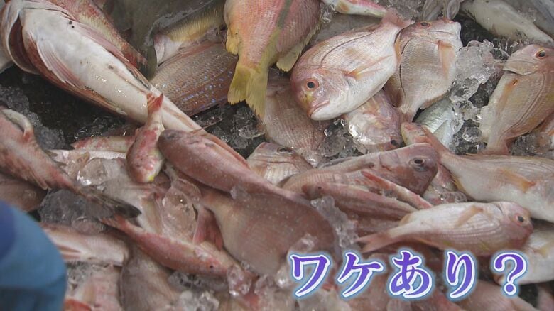 大人気のフィッシュバーガー 具材は市場に出ない“ワケアリ”の魚 「もったいない」がビジネスのヒント 【福岡発】|FNNプライムオンライン