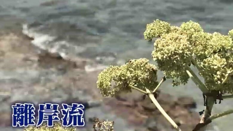 「突然ストンと深くなる」現場付近で離岸流たびたび発生か　小学生2人溺れた事故　「子供だけで川や海に行かない」市教委が通知　福岡｜FNNプライムオンライン