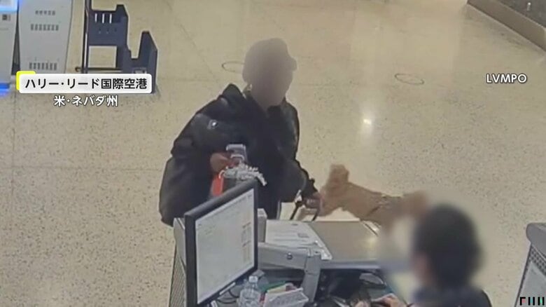 空港で発券拒否され犬を置き去り 飼い主の女を動物遺棄の疑いで逮捕 犬は新たな家族のもとへ アメリカ|FNNプライムオンライン