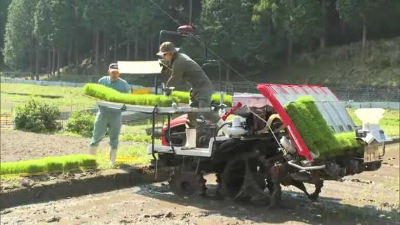 コメ不足の中…西粟倉村で早場米の田植え始まる　コシヒカリなど栽培【岡山】｜FNNプライムオンライン